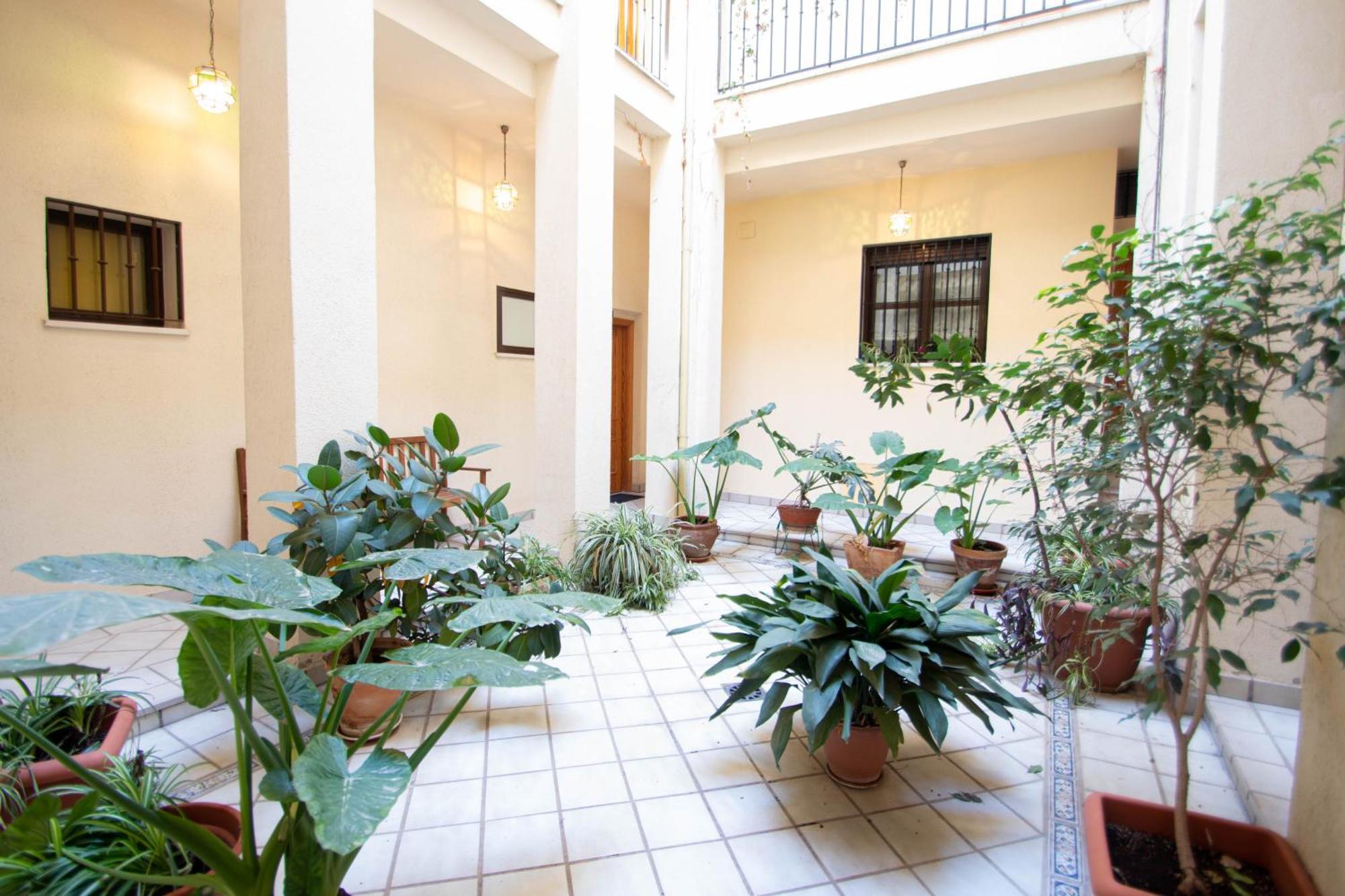 Apartament Elvira 54