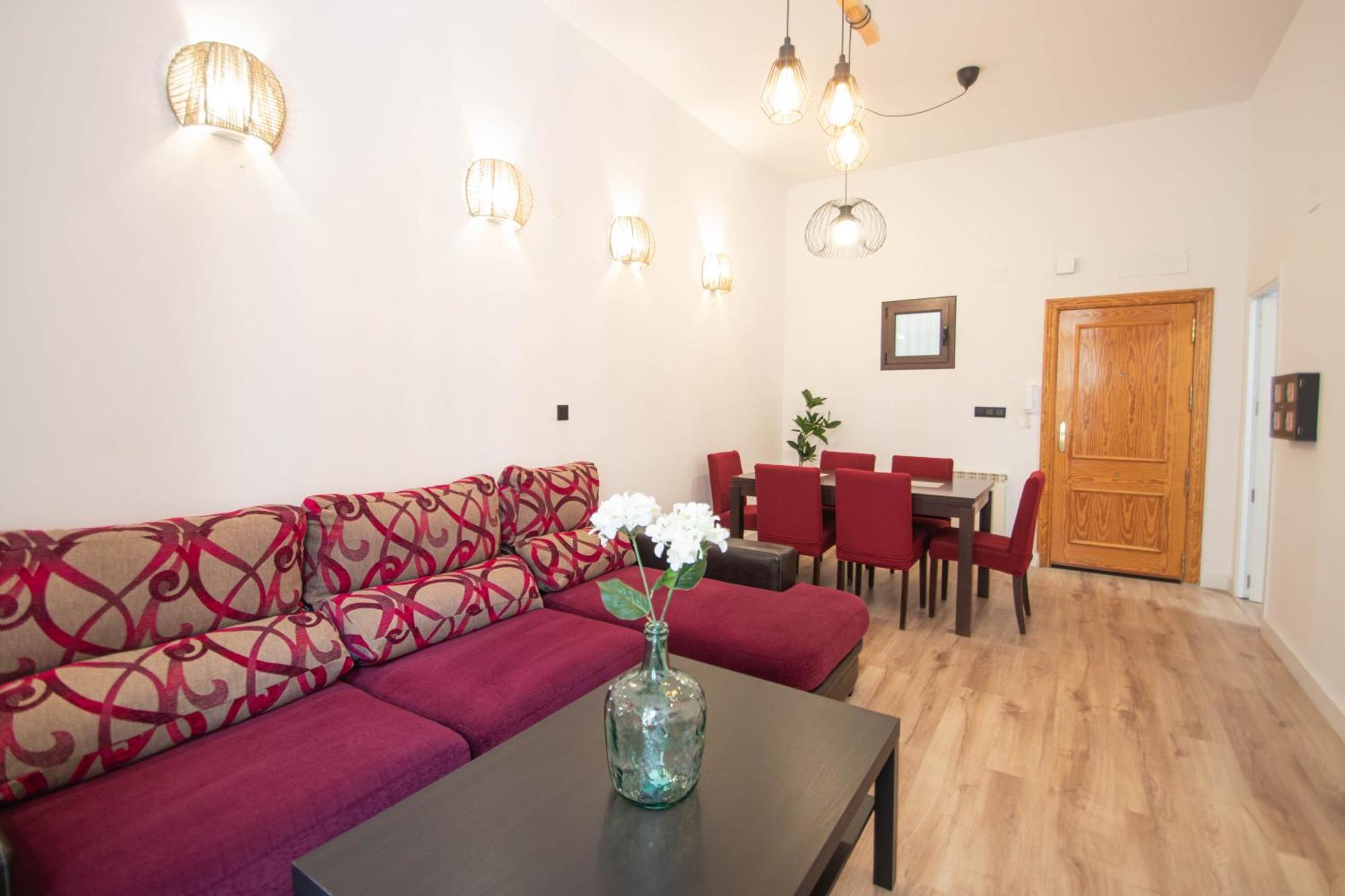 Elvira 54 Appartement Grenade